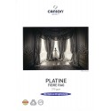 Platine Fibre Rag - Canson - 310g / m2