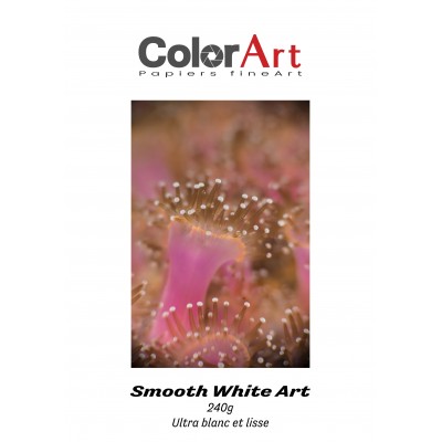 Smooth White Art