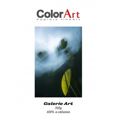 Galerie Art